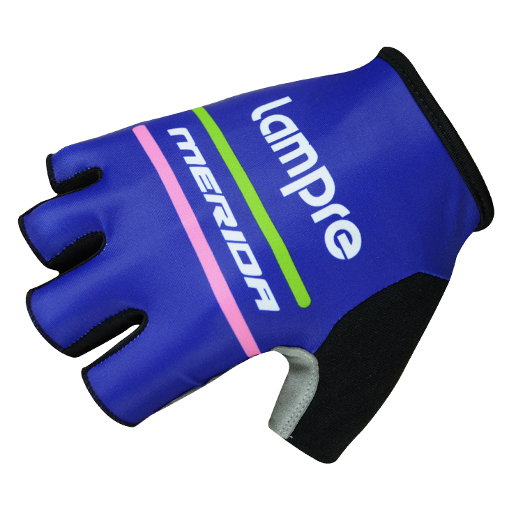 Hundschuhe Lampre 2015 blau